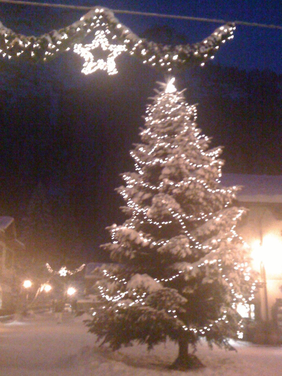 Albergo Alpenrose Gressoney-Saint-Jean Exterior foto