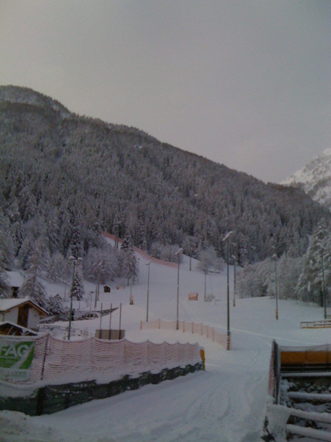 Albergo Alpenrose Gressoney-Saint-Jean Exterior foto