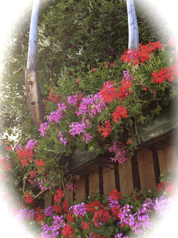 Albergo Alpenrose Gressoney-Saint-Jean Exterior foto