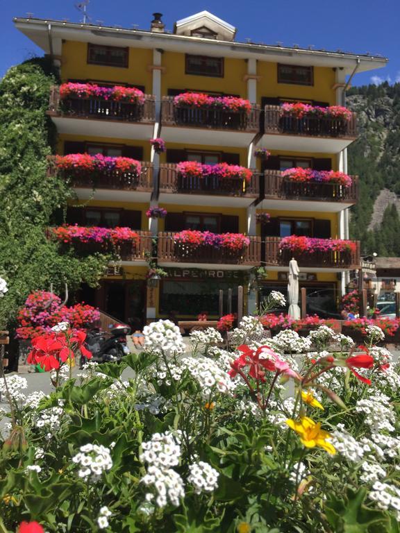 Albergo Alpenrose Gressoney-Saint-Jean Exterior foto