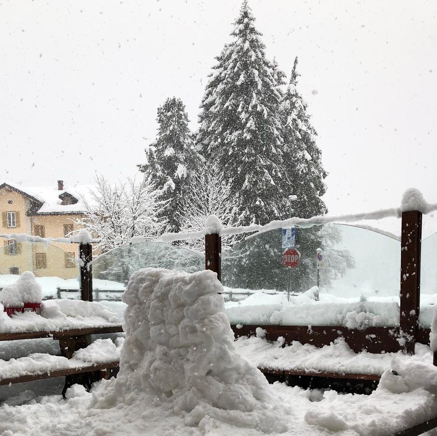 Albergo Alpenrose Gressoney-Saint-Jean Exterior foto