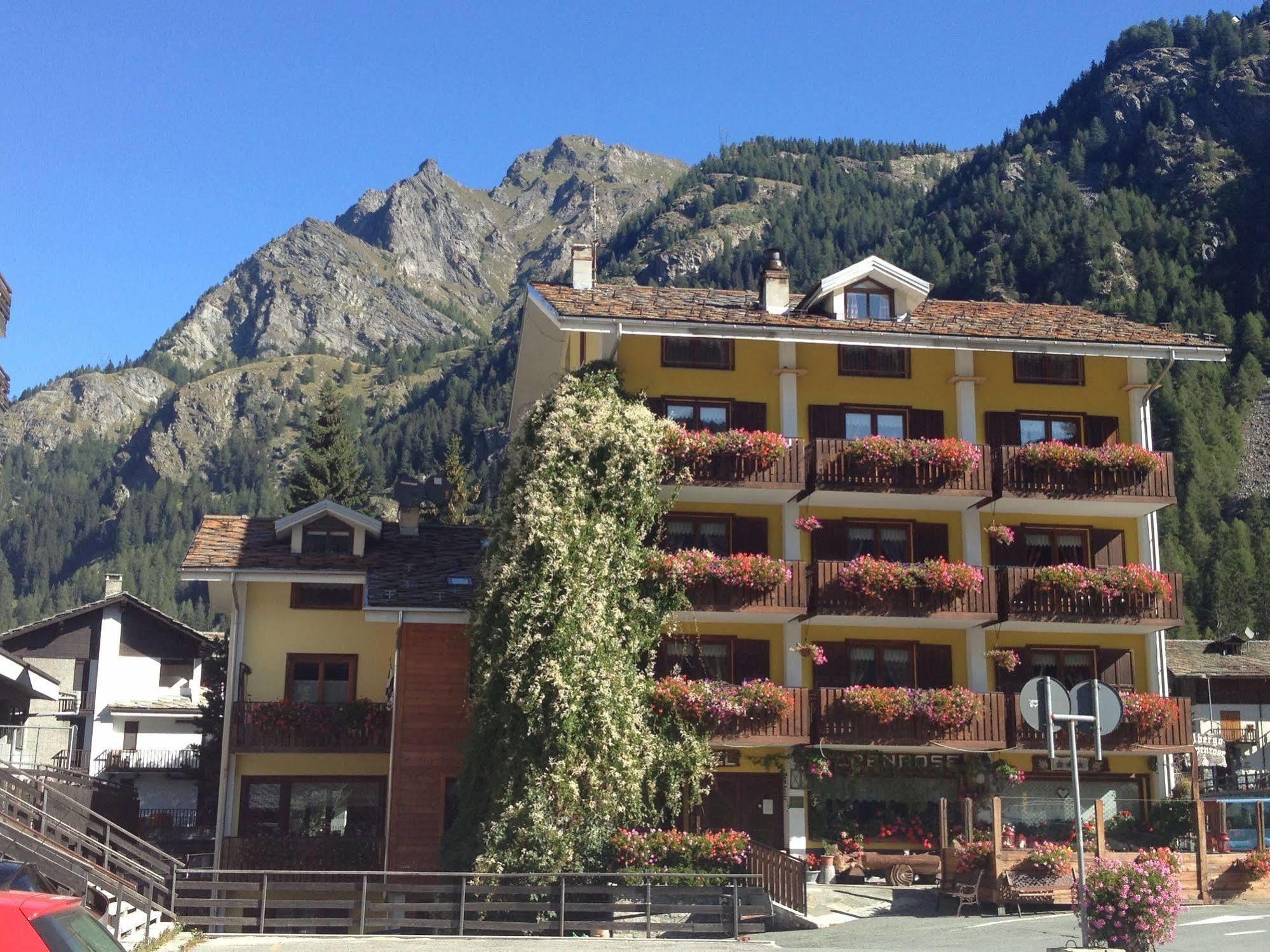 Albergo Alpenrose Gressoney-Saint-Jean Exterior foto