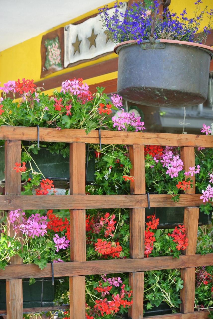 Albergo Alpenrose Gressoney-Saint-Jean Exterior foto