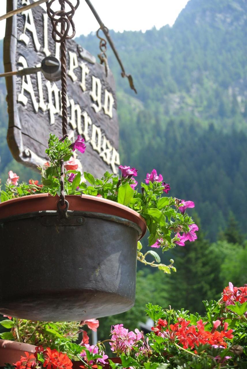 Albergo Alpenrose Gressoney-Saint-Jean Exterior foto