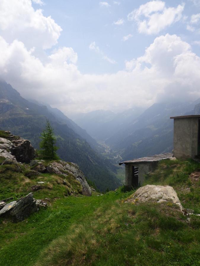 Albergo Alpenrose Gressoney-Saint-Jean Exterior foto